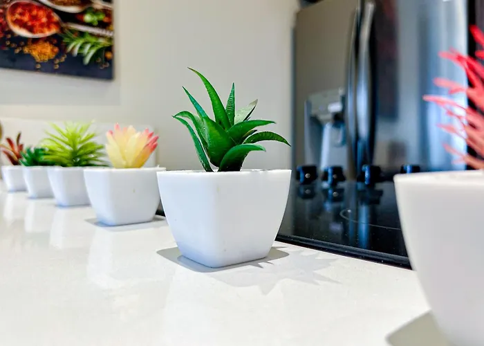 New Condo! Vista Velas Iii Apartment El Pueblito (Baja California Sur)